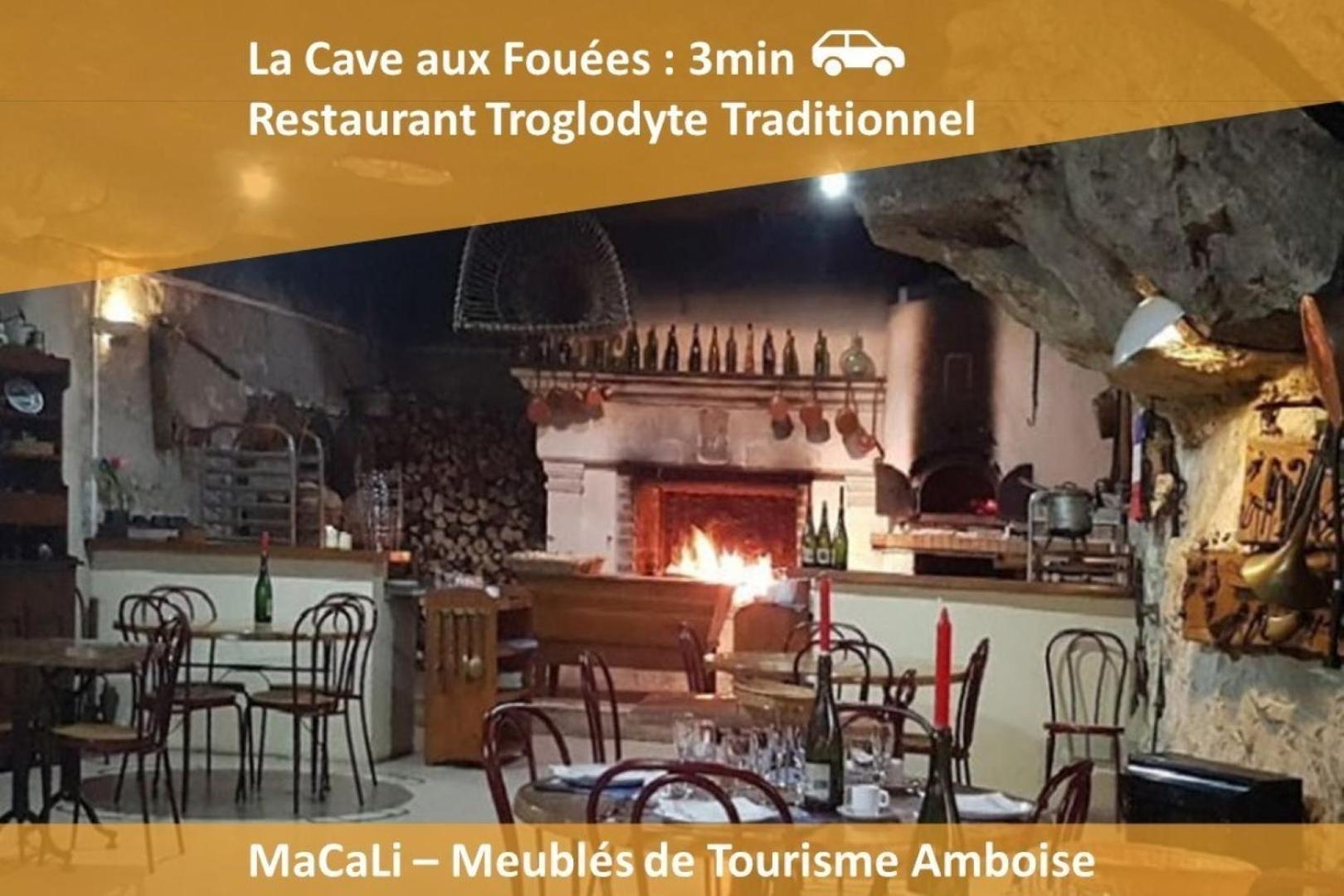 Terrasse Sur La Tour Garconnet Διαμέρισμα Αμπουάζ Εξωτερικό φωτογραφία