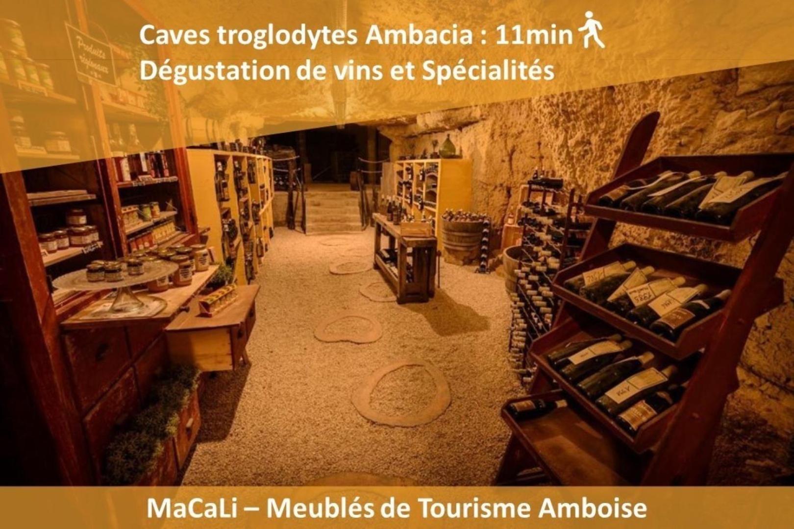 Terrasse Sur La Tour Garconnet Διαμέρισμα Αμπουάζ Εξωτερικό φωτογραφία