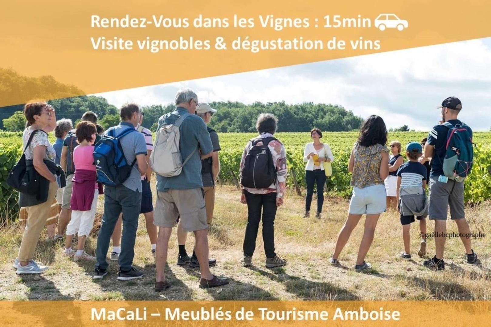 Terrasse Sur La Tour Garconnet Διαμέρισμα Αμπουάζ Εξωτερικό φωτογραφία